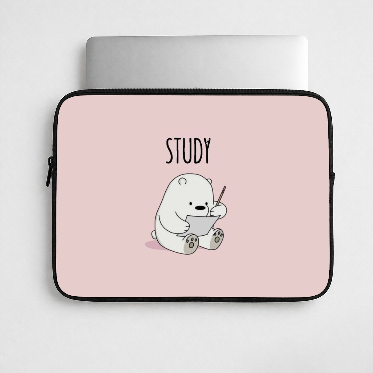Study Bear